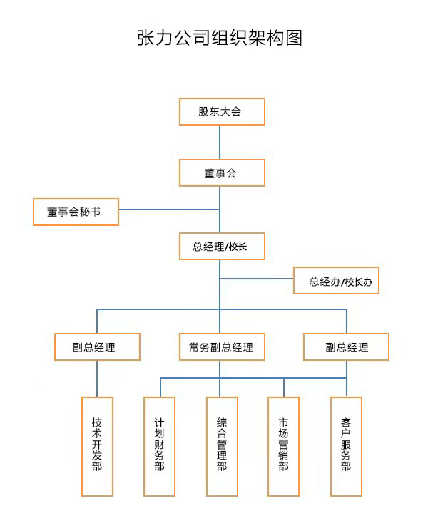 张力股份公司组织架构图